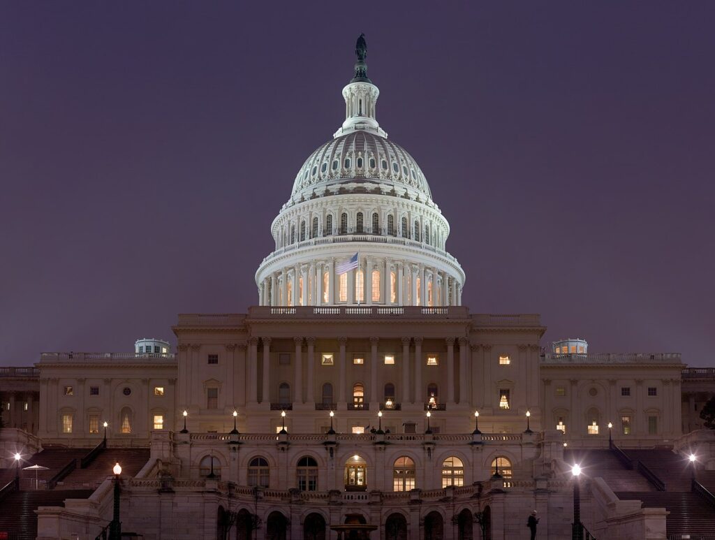 US Capitol Building at night Jan 2006.jpg Photo by DAVID ILIFF. License: CC BY-SA 3.0 https://commons.wikimedia.org/wiki/File:US_Capitol_Building_at_night_Jan_2006.jpg