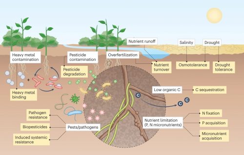 Fig 1: Jansson et al. Soil microbiome-plant interactions