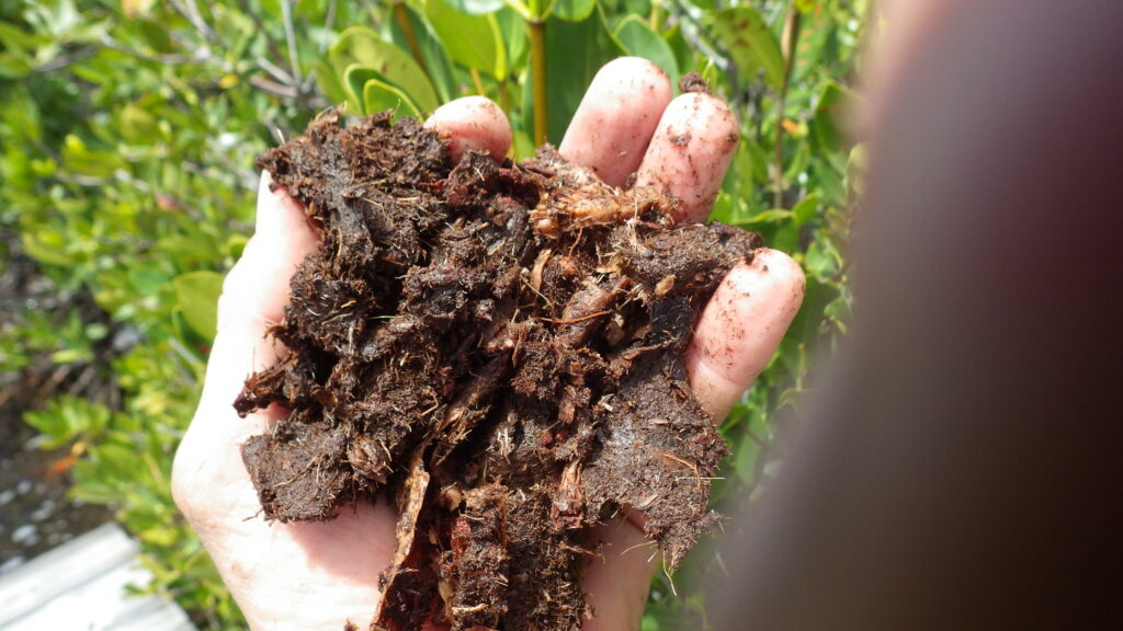 A sample of hemic organic soil material