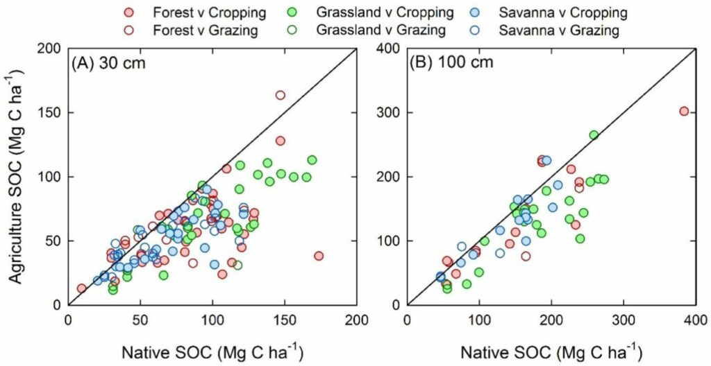 Losses of soil organic carbon stocks associated with conversion of land to cropping and grazing down to 30 cm and 1 m