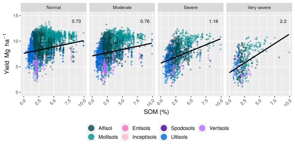 Relationships between corn yield and soil organic matter concentration, at the county-level, for rain-fed U.S. agriculture for common soil orders